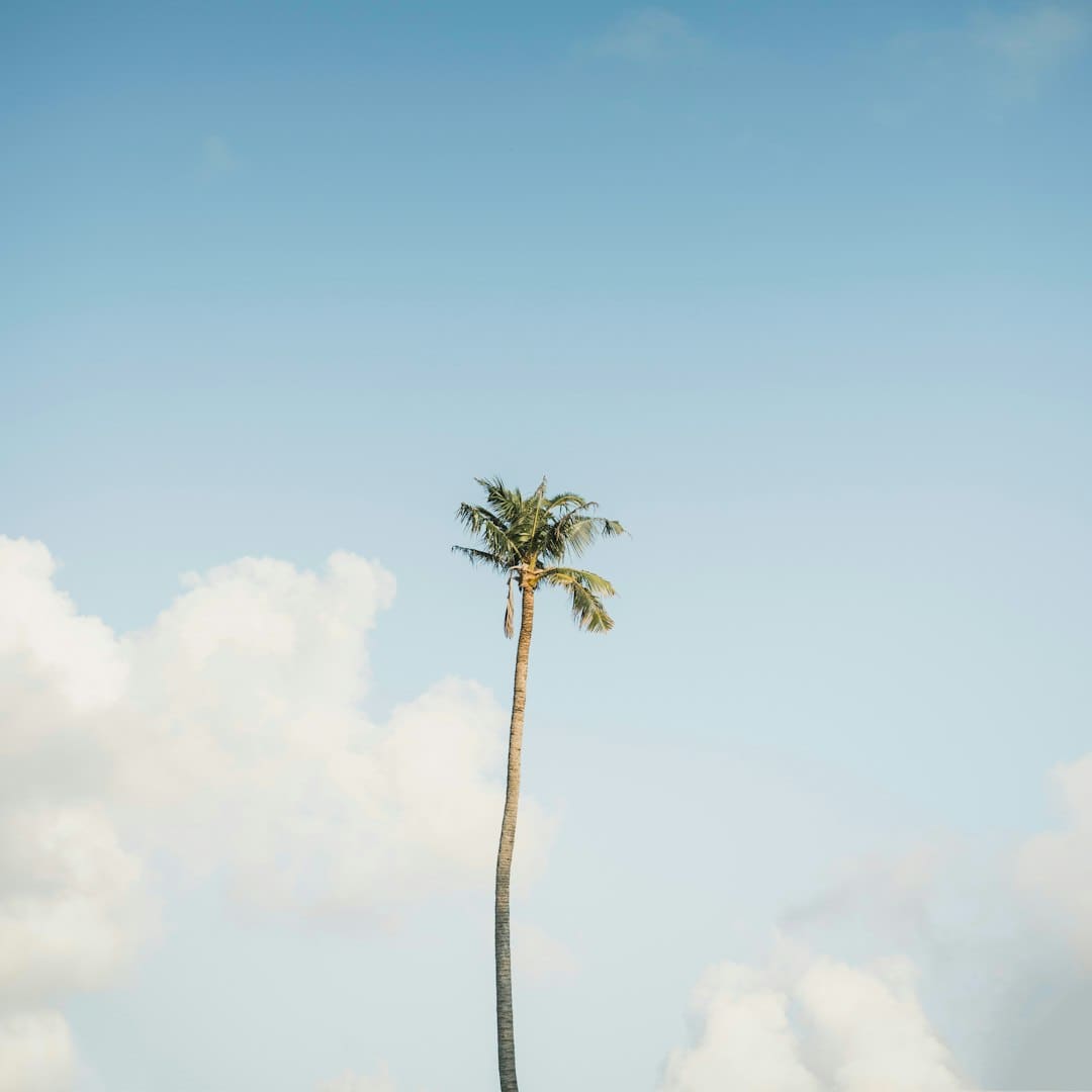 美丽我国丨呼伦贝尔大草原秋景如画
